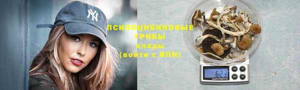 дмт Алексеевка
