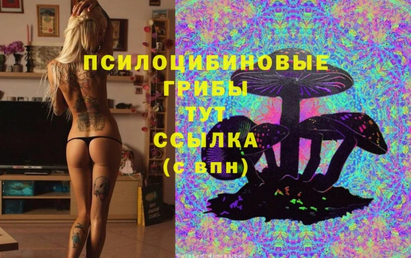 дмт Алексеевка