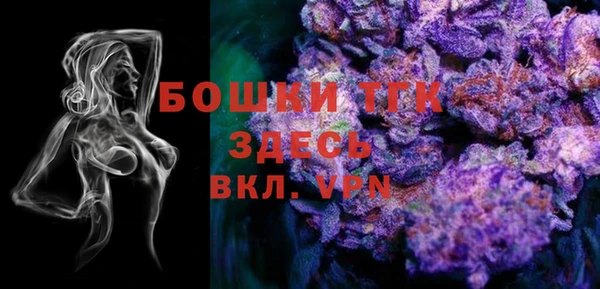 2c-b Рославль